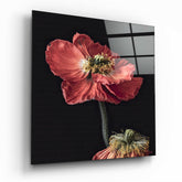 Flower Glass Wall Art.